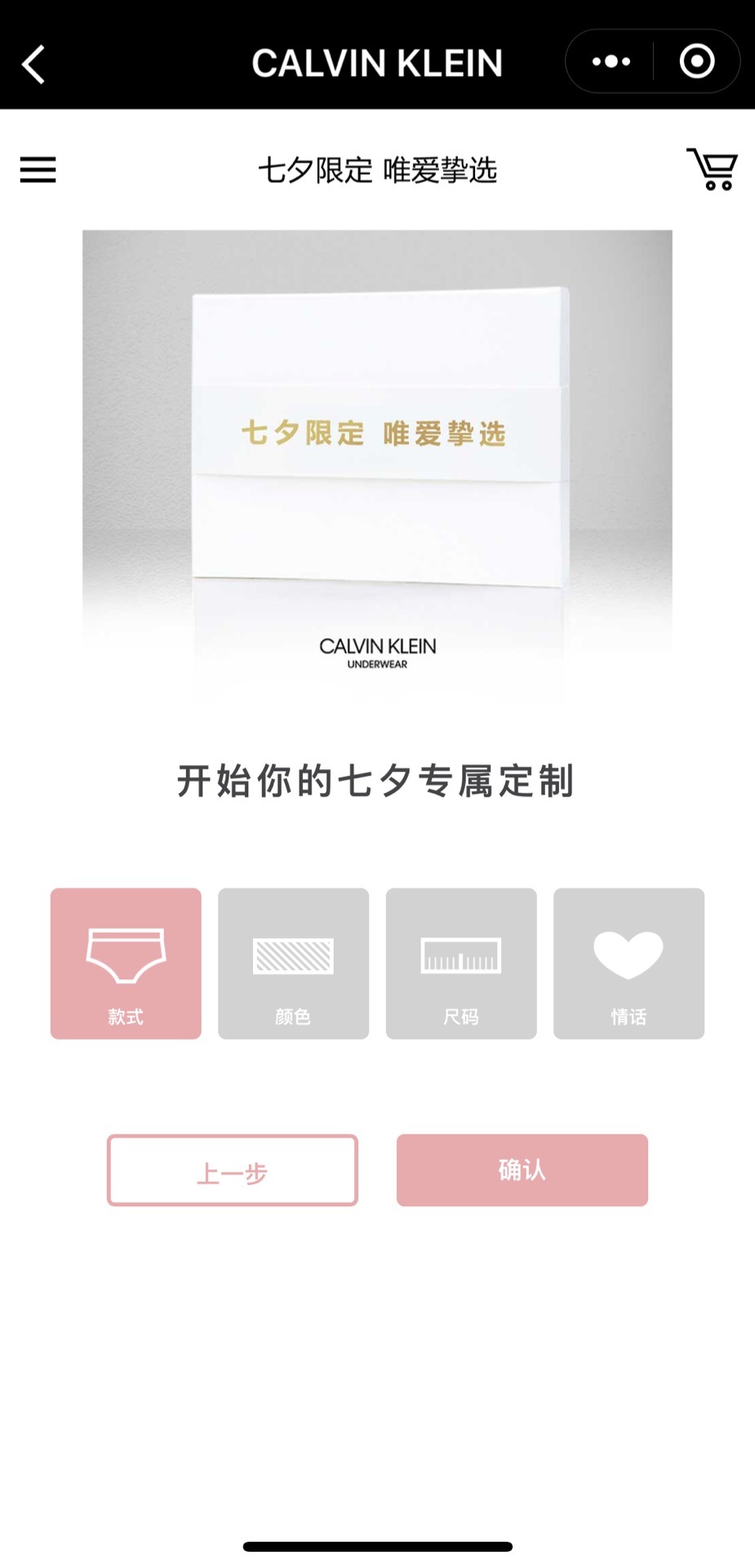 Product Customization